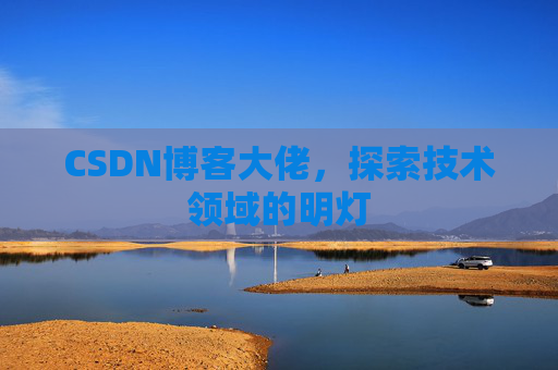 CSDN博客大佬，探索技术领域的明灯